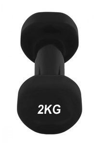 Гантель вінілова PowerPlay 4125 Achilles 2 кг Чорна 1шт PP_4125_2kg фото