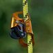 Затискач Petzl Croll PetzlCroll фото 1 купити онлайн