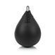 Пневмогруша боксерська Fairtex SB1 Black SB1_Black фото 2 купити онлайн