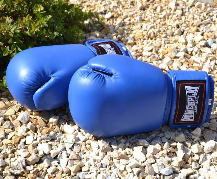 Боксерські рукавички тренувальні PowerPlay 3004 сині 14 унцій PP_3004_14oz_Blue фото