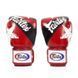 Боксерські рукавиці Fairtex BGV1 Nation Print Red 12 унцій (бинти в комплекті) BGV1_Print_12oz_Red фото 3 купити онлайн