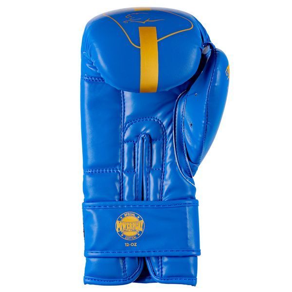 Боксерські рукавиці PowerPlay 3089 Alpha Сині 10 унцій PP_3089_10oz_Blue фото