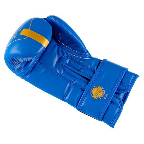 Боксерські рукавиці PowerPlay 3089 Alpha Сині 14 унцій PP_3089_14oz_Blue фото